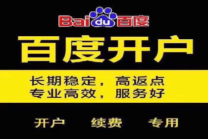 百度推广案例：精准营销助力企业增长